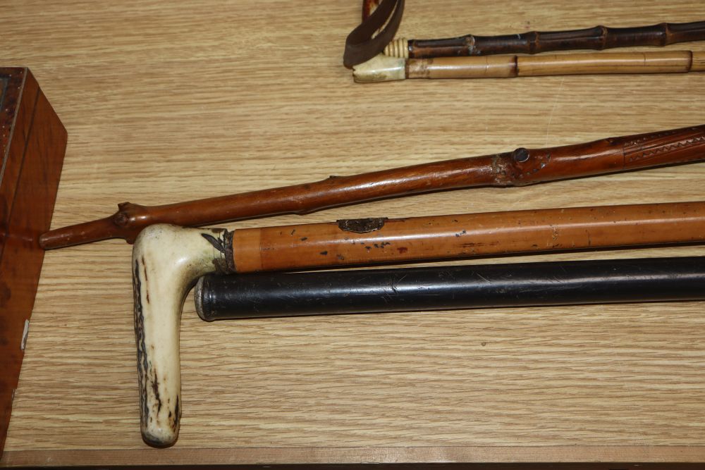 A European bone inlaid crossbow, two walking canes and three riding crops